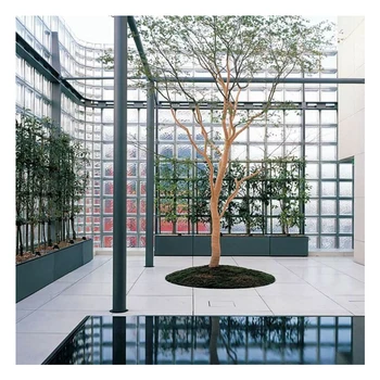 Top Quality Building 190mm*80mm Clear Glass Block With Hole