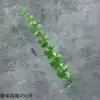ยูคาลิปตัสก้านเดี่ยว - สีเขียว