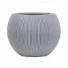 Mouchetures gris clair