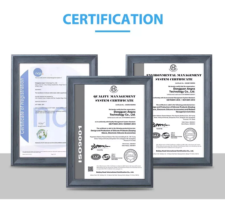 Company Information 2.png