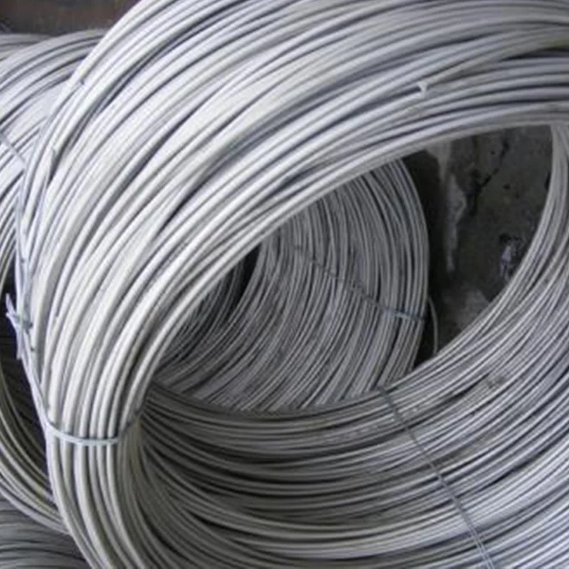 China ASTM AISI JIS SUS SS Funis 301 302 303 Steel Wire