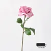 Increased flower head-light purple red