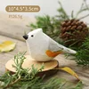 Colorido Pajarito Blanco.
