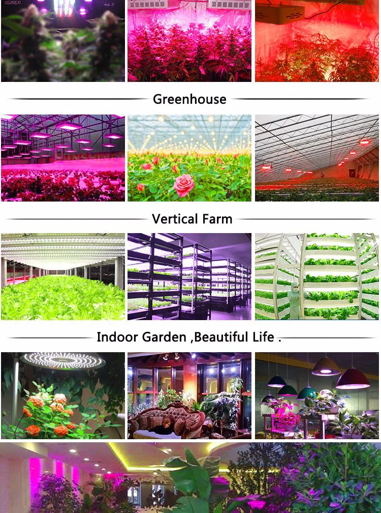 led grow light 1.jpg