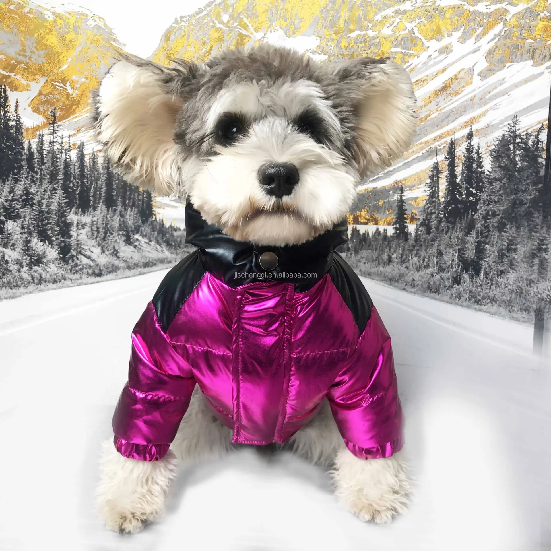 warm clothes for small dogs