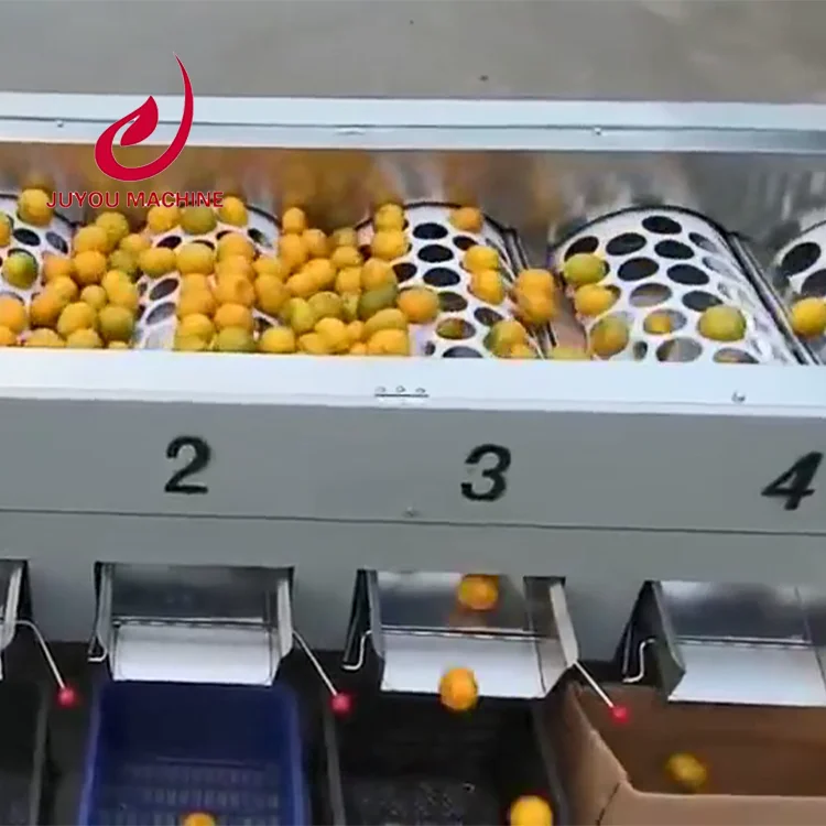 Orange Lemon Chufa Potato Tomato Grading Sorting Machine Fruits Grader