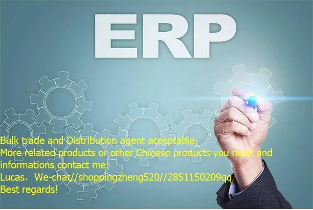 ERP.jpg