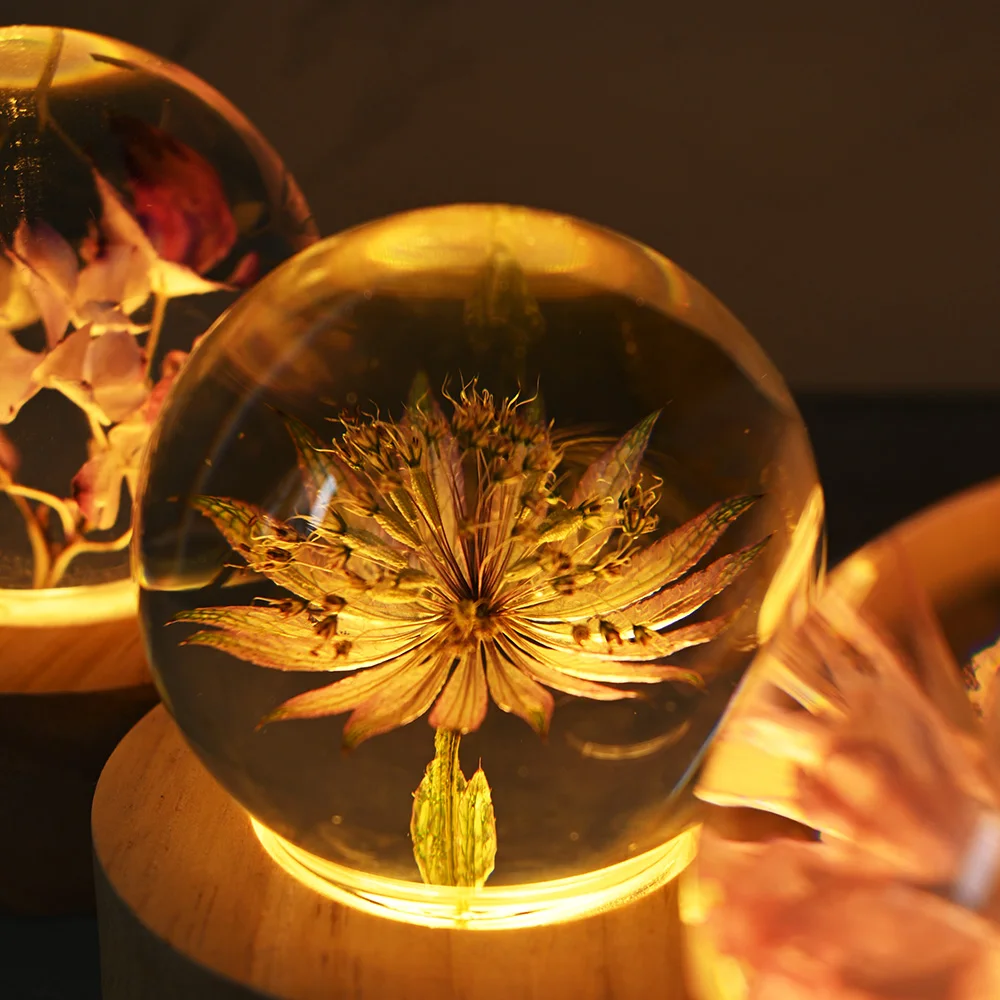 Most Selling Product in Alibaba Best Sellers Products Unique Gift Set Item  Natural Flower LED Night Light