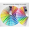 Color personalizado, contactar antes de ordenar