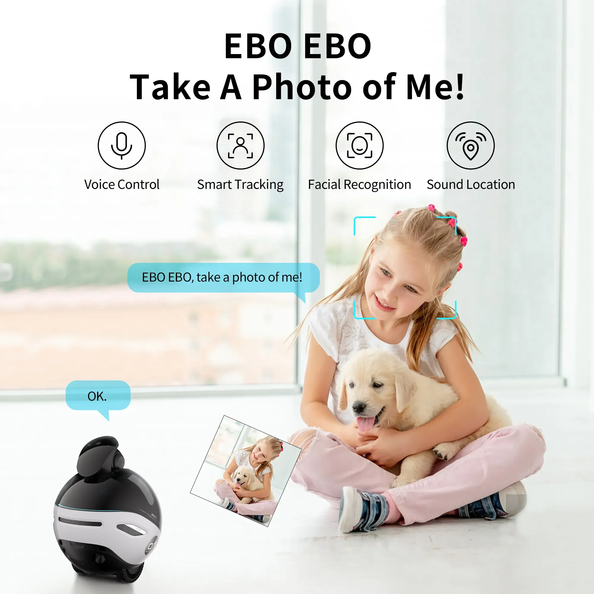Automatic Charging High Version Pet Cat Dog Companion Robot Camera Monitor Warning Smart Camera for Kids Old People
