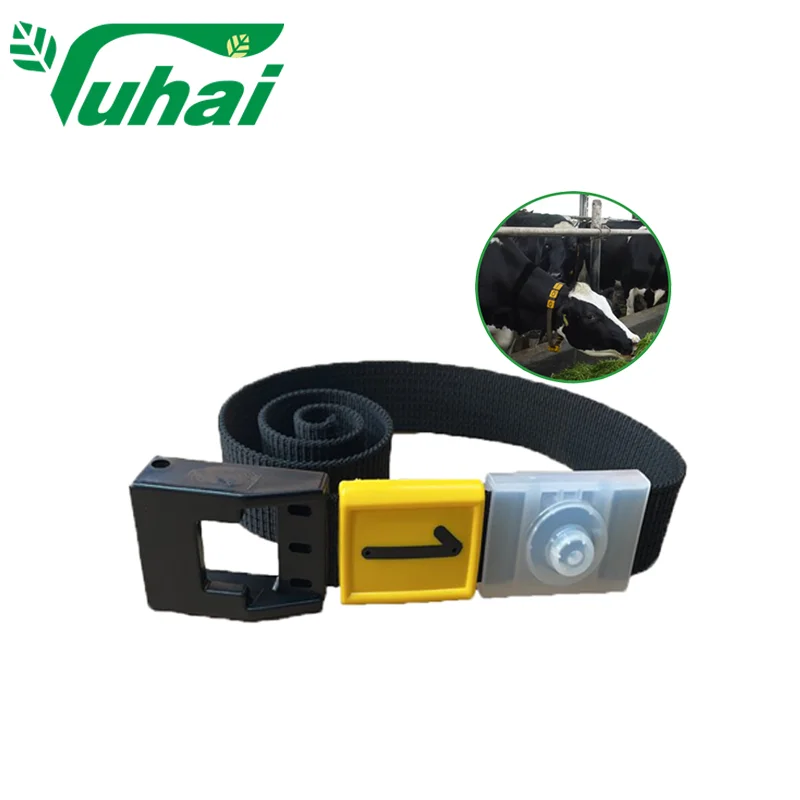 Ջրակայուն կենդանիների օձիք, հաշվառման օձիք խոշոր եղջերավոր կենդանիների համար, անվտանգության հետևողական օձիք, կենդանիների, թռչունների, շան, կովի, ոչխարի, կատուի համար