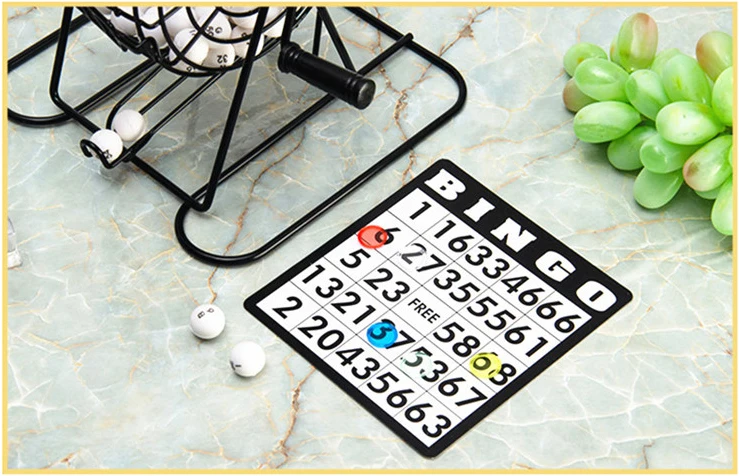 Bingo Set - Fun and Educational Toy for Kids and Adults