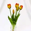 07-Amber Red