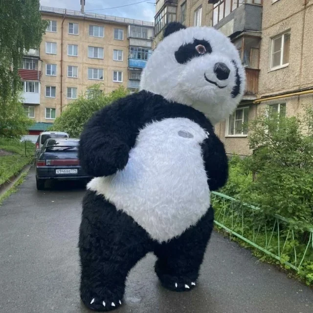 Bandeau Dessin Animé pour Enfants en Peluche en Forme Panda Cerceau pour Cheveux en Peluche pour Adultes Bandeau Fête Accessoires Costume Cosplay Bandeaux Mignons pour Femmes