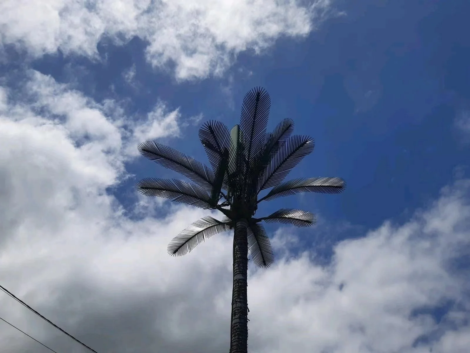 product-1-1 product-1-1