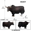 M-952วัวดำ