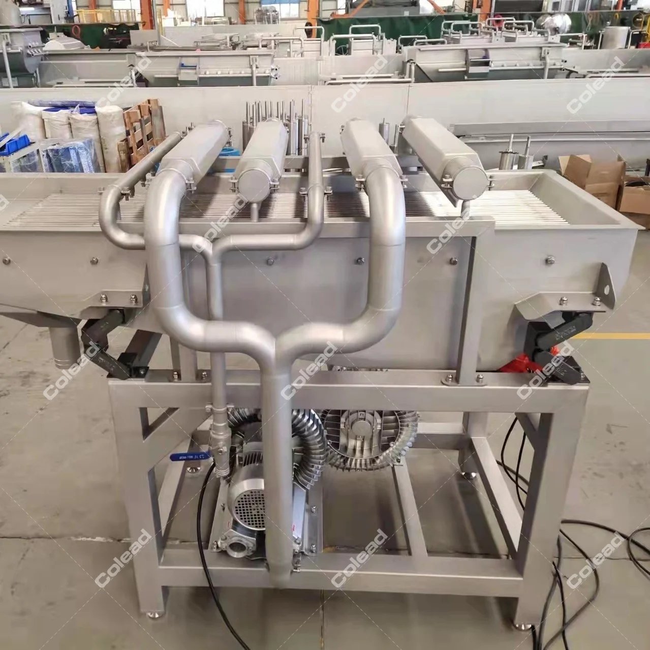 Hot Sales Sus304 Date Processing Machine /vegetable Washing Vibrator