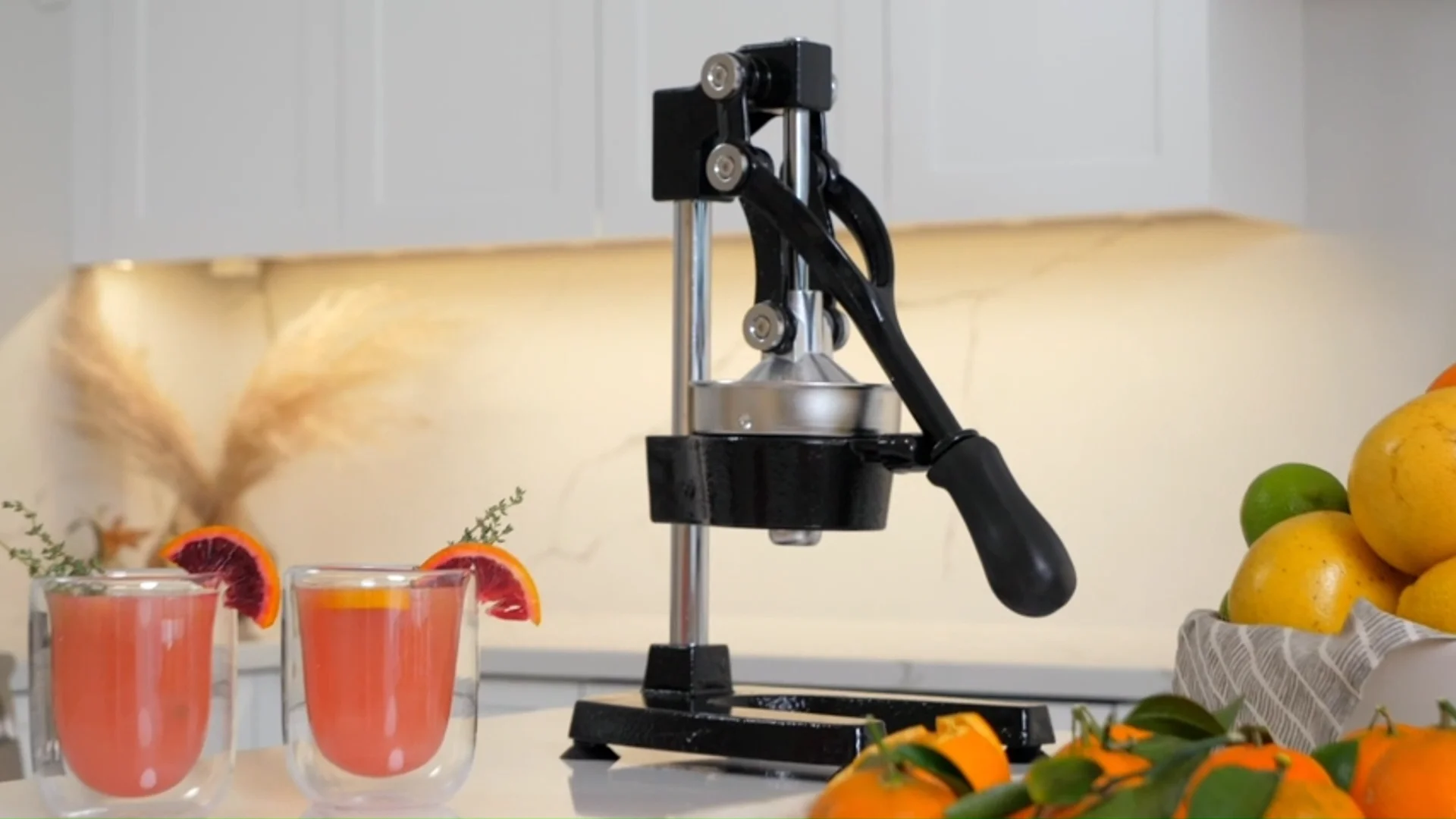 Cast Iron Citrus Juicer Extralarge Commercial Grade Manual Hand Press