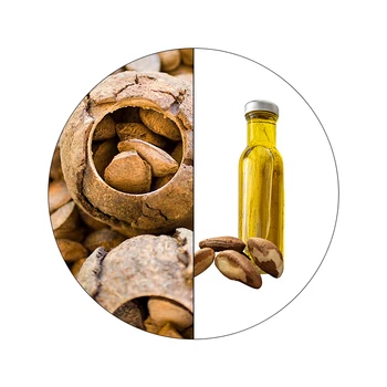 Amazon Rainforest Private Label Brazil Nut Oil Healthy Hair Growth Essential Oil Natural Brazil Nut Oil