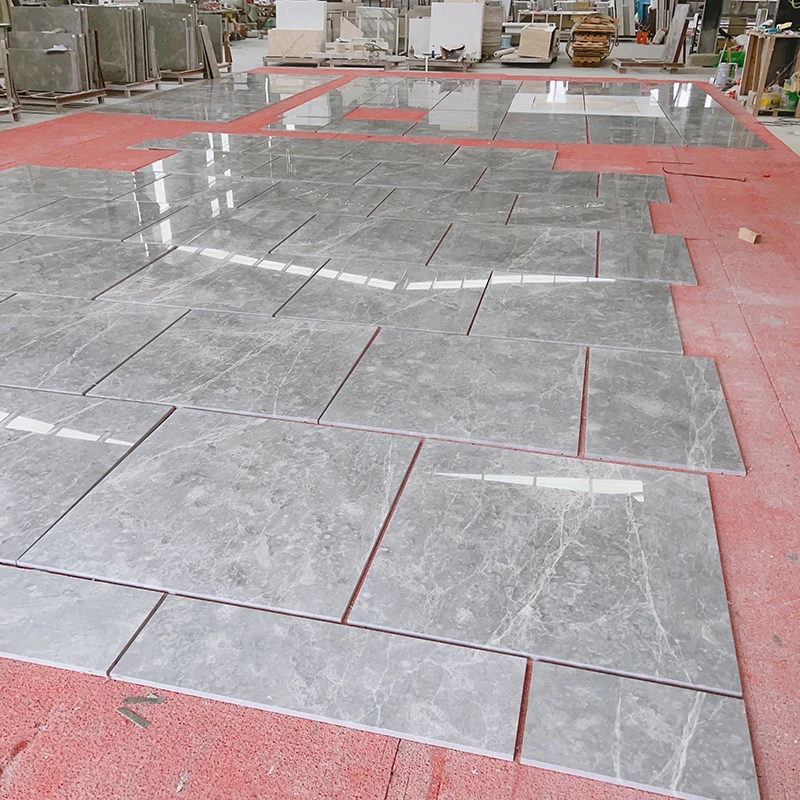 Silver Grey Laying (19).jpg