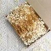 Blanco, tallo amarillo, 50 unidades por caja.