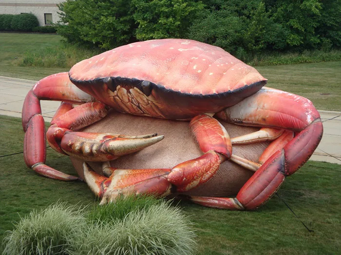 Sea Animal LED Lighted Large Inflatable Crab Model for Advertising