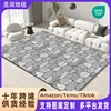 Carpet 14