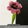 dark red