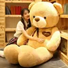 Ribbon-Light Brown