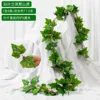 เถาวัลย์เวอร์จิเนีย 36 ใบ (5 ใบ)