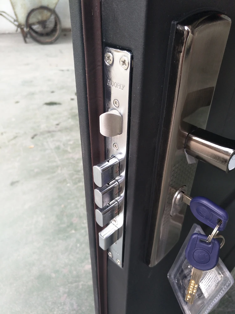 High Quality Smoke Gray Iron Security Door Hot Sale European Design Front Metal Door