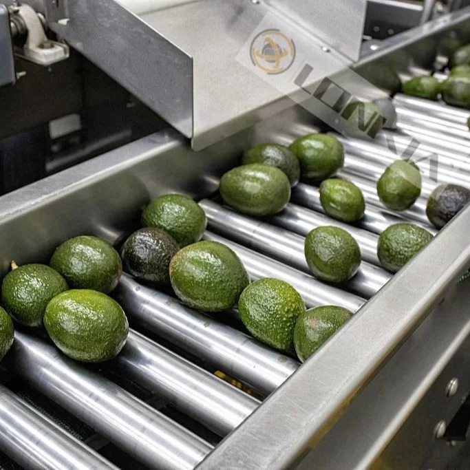 Vegetable Sorting Machine factory