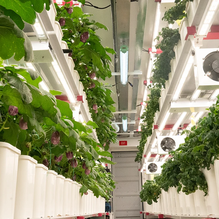 Planting System Indoor Container Farm System Planters for Indoor Plants Medical Plants Tomatoes Strawberry Vegetables Growing