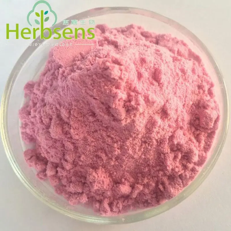 Organic Acerola Cherry Extract Powder view 2