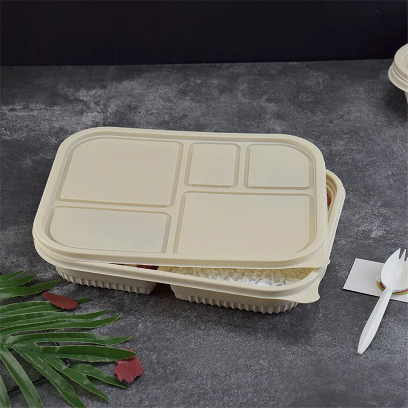 Container Lunch Box Set Insulated Bento Salad Packaging Transparent Food Rou