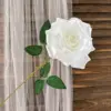 pure white