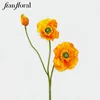 Giallo-10.Y0057