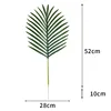 Areca palm-dark color-small leaves