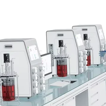 EU Standard High Quality Automatic Laboratory Glass Bioreactor 2 Parallel Mechanical Stirring Tank Reactor Pressure Vessel PLC