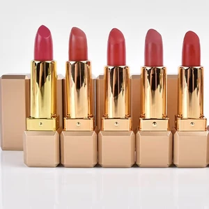 Premium Matte Gel Creamy Lipstick Pencil Beauty Set Wholesale Raw Materials Chinese Waterproof Fashion