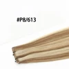 #P8/613
