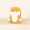 Orange hamster