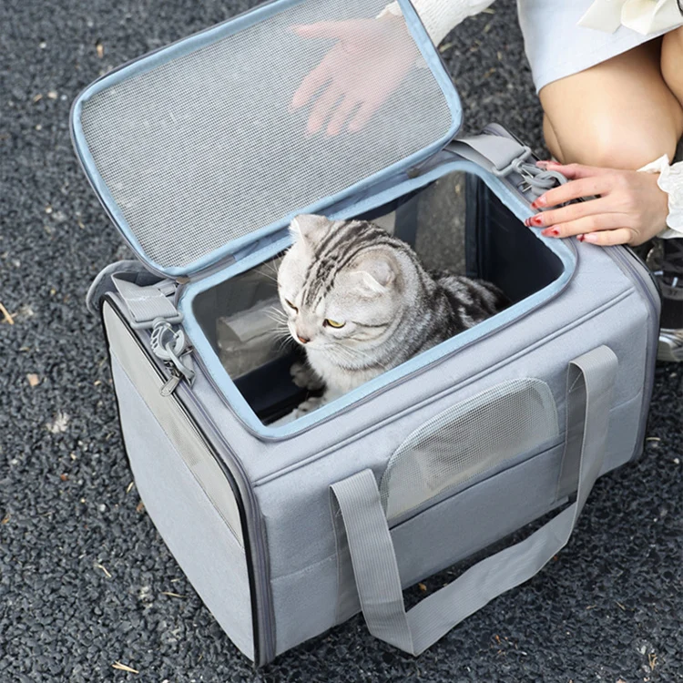 Custom Cat Wheels Dog Carrier Airline Approved cat bag pet carrier with Telescopic Handle for Flight Camping Outdoor supplier