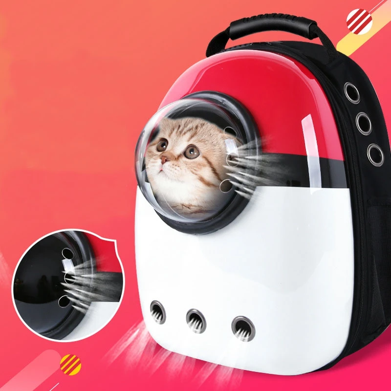 hello kitty pet carrier