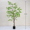 Verde 210cm