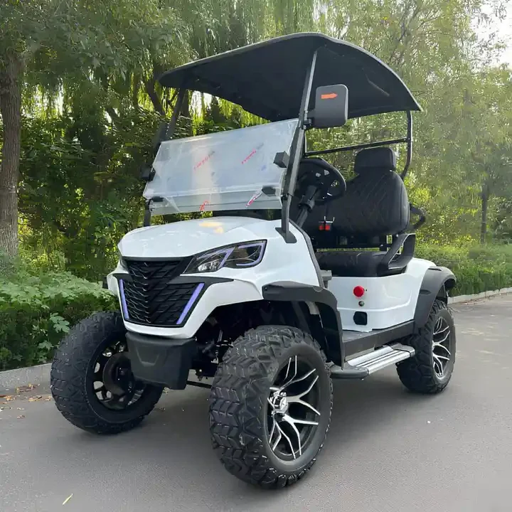 Chinese Custom Lifted Electric Golf Buggy Zone Electric Golf Carts Club