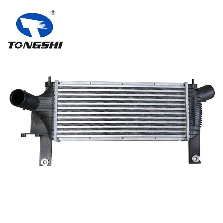 タイラー　インペリアル Intercooler for NISSAN NAVARA(D40) 2.5DCI - OEM 14461-EB360