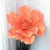 Orange 2