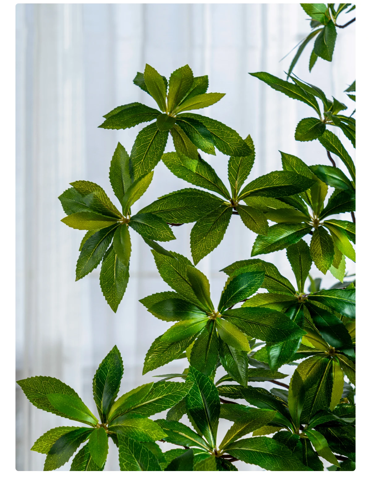 Simulated BigPieris Japonica Bonsai Indoor/Outdoor Christmas Decoration UV-Certified Green Leaf PE Artificial Plastic Tree UV manufacture