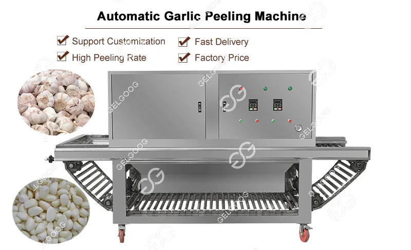 Automatic Large Peeled Garlic Sorter Selecting Peeling Processing Equipment Break Garlic and Peeler Machine 500Kg